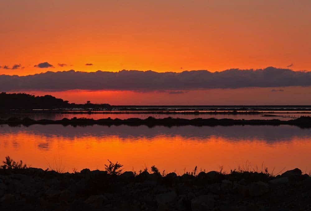 Las Salinas