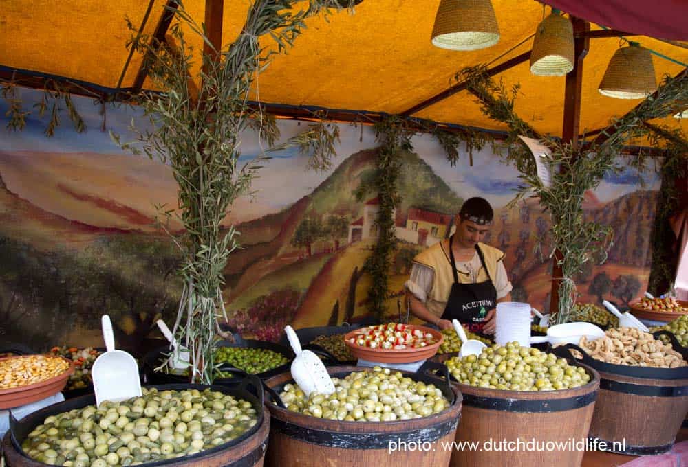 Herbeleef de middeleeuwen in Ibiza stad